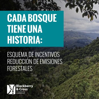 Cada Bosque Tiene una Historia: Esquema de Incentivos Reducción de Emisiones Forestales