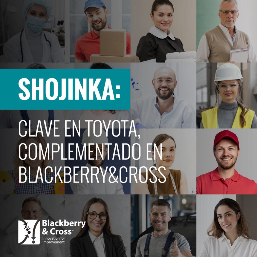 Shojinka: Clave en Toyota, Complementado en Blackberry&Cross