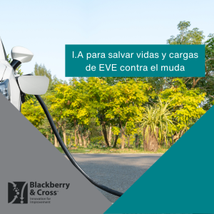 BYD carga ráída. MUDA. Inteligencia Arttificial. salva vidas. accidentes. animales.