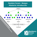 Ilustración del algoritmo Random Forest mostrando una colección de árboles de decisión y su agregación para una predicción final.