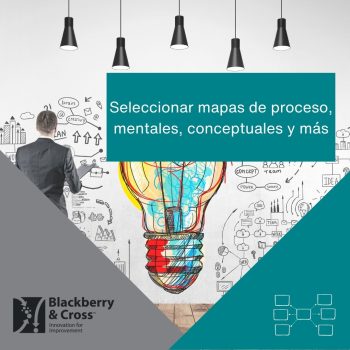 Seleccionar mapas conceptuales, mentales y de proceso